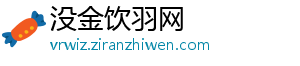 没金饮羽网